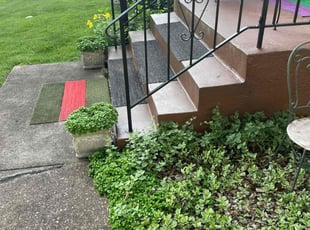 Daniel M.'s lawn service service result