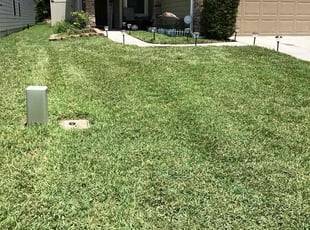 Jonathan H.'s lawn care service result