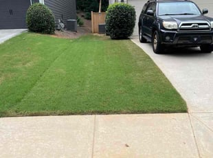 Tarek S.'s lawn maintenance service result