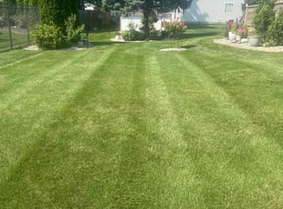 Calvine T.'s turf care service result