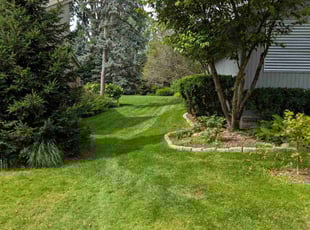 Jon S.'s grass cutting service result