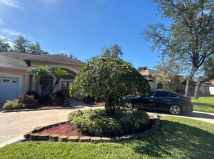 Lynn M.'s Bush Trimming service result