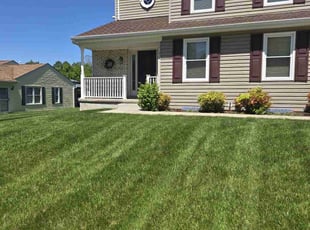 Pat B.'s yard service service result