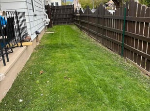 Scott B.'s turf maintenance service result