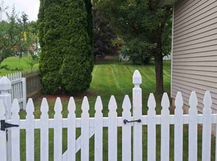 Cyree C.'s lawn care services service result