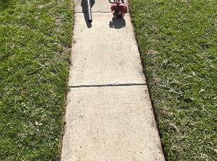Travis M.'s lawn service service result