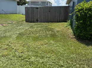 Mark J.'s grass cutting service result