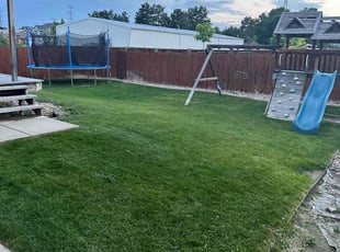 Charles S.'s turf care service result