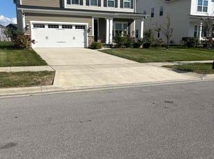 Tom R.'s turf maintenance service result