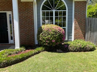 Marixa T.'s Bush Trimming service result
