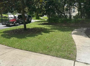 Robert M.'s turf maintenance service result