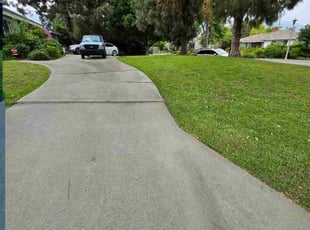 Larry C.'s grass cutting service result