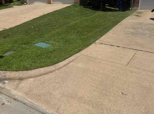 Dorothy D.'s turf maintenance service result