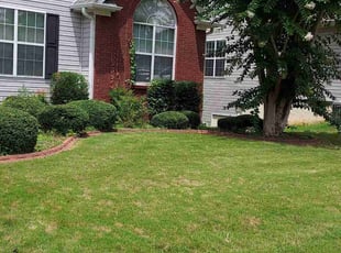 Noel S.'s Bush Trimming service result