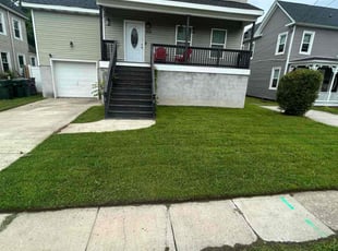 Billy S.'s turf care service result