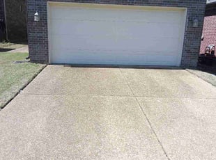 Imani H.'s lawn care services service result