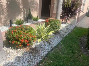 Trisha H.'s Bush Trimming service result