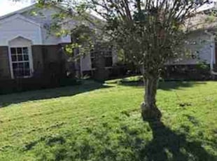 Amira P.'s lawn care services service result