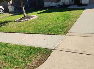 Tony R.'s lawn service service result
