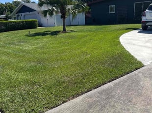 Hector C.'s grass cutting service result