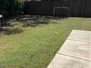 Emily S.'s lawn care services service result