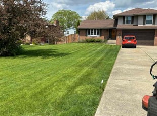 Michelle T.'s grass cutting service result