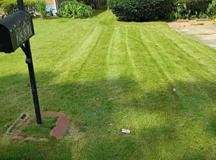 Luis C.'s lawn maintenance service result