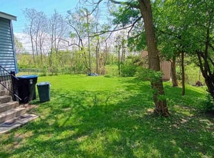 Makayla P.'s lawn care service result