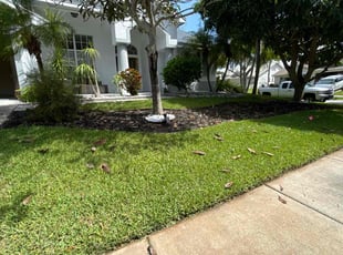 Kenneth S.'s yard service service result