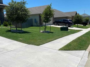 Patricia D.'s grass maintenance service result