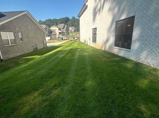 Michelle E.'s turf care service result