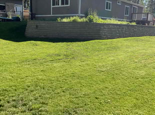 Brooke Z.'s lawn service service result