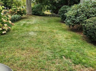 Kevin R.'s lawn care services service result
