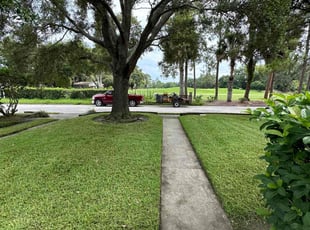 Enrique P.'s turf maintenance service result