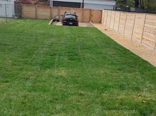 Ragu N.'s lawn care services service result