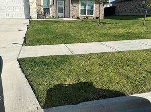 Christina M.'s turf care service result