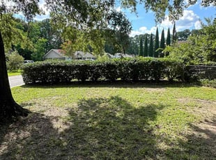 Chris M.'s Bush Trimming service result