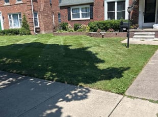 Jared D.'s grass cutting service result