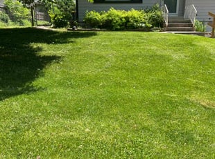 Jeffrey J.'s turf maintenance service result