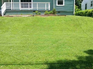 Tom P.'s lawn service service result