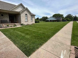 Alliyan B.'s turf care service result