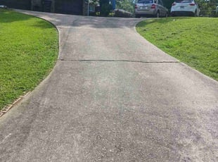 Jalen R.'s Long Grass Cleanup service result