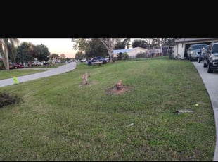 David V.'s lawn service service result