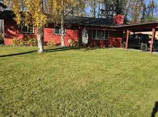 Nick R.'s lawn service service result