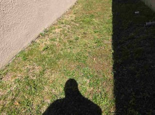 Karen W.'s lawn maintenance service result