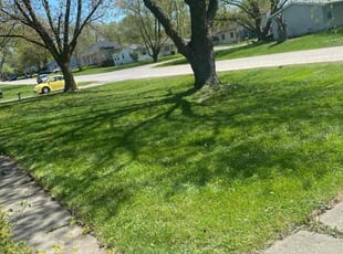 John H.'s turf maintenance service result