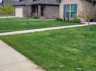 Joseph P.'s lawn care services service result