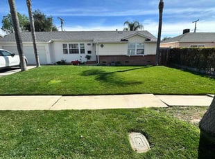 Tony W.'s lawn care services service result