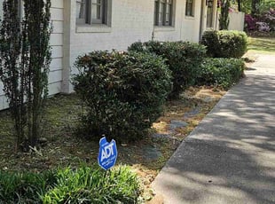 Charles M.'s Bush Trimming service result