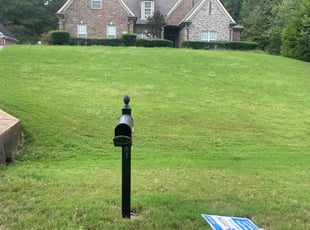Tanya R.'s grass cutting service result